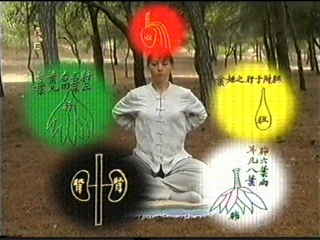 taoist massage. opening of the 9 outer alchemical vessels.